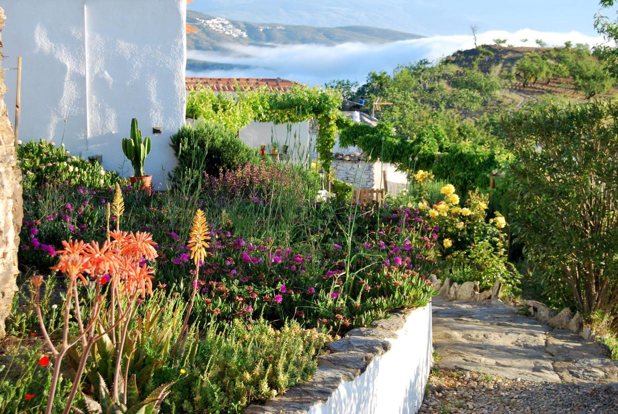 Cortijo Los Maximos Turon Exterior photo