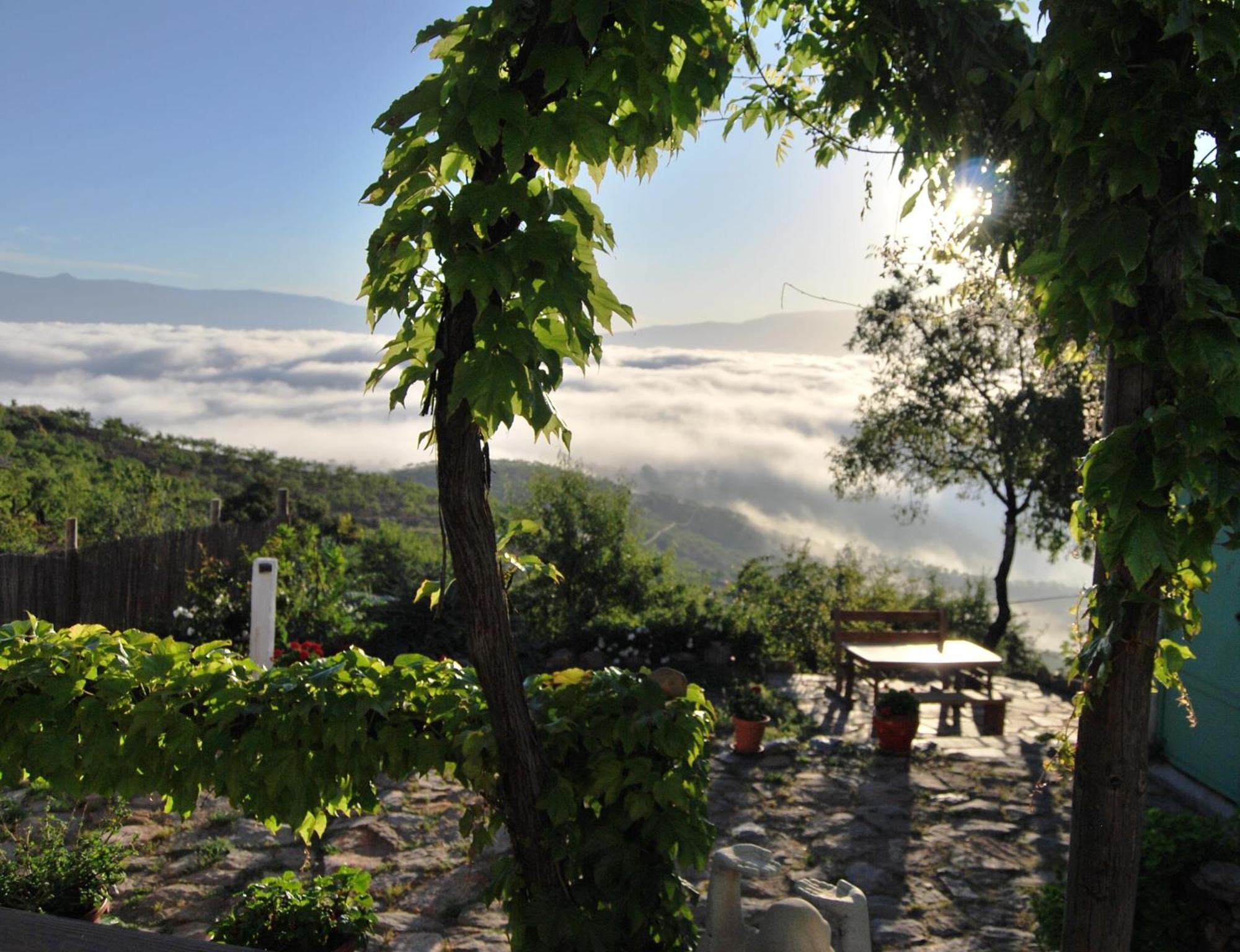 Cortijo Los Maximos Turon Exterior photo