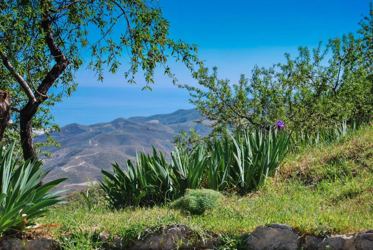 Cortijo Los Maximos Turon Exterior photo